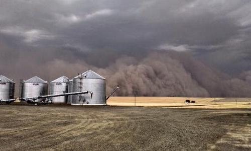 A dust cloud.